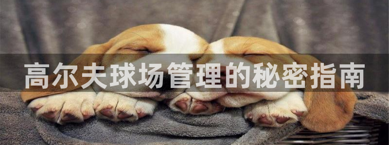 必一运动