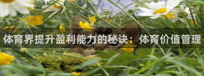 必一体育运动下载：体