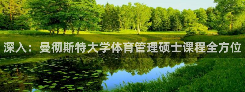 必一体育APP：深入