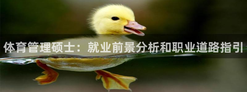 必一体育在线官网