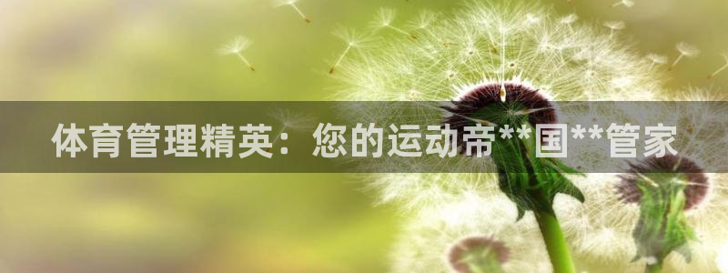 必一运动bsport
