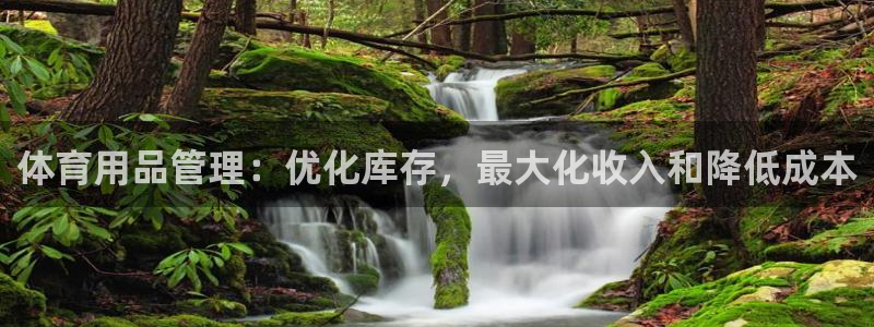 必一体育APP：体育