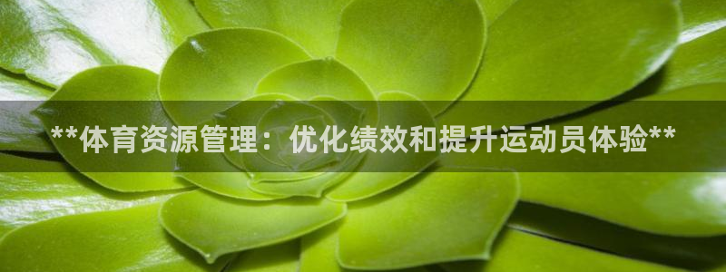 必一体育运动官网：*