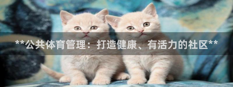 必一体育官方app下