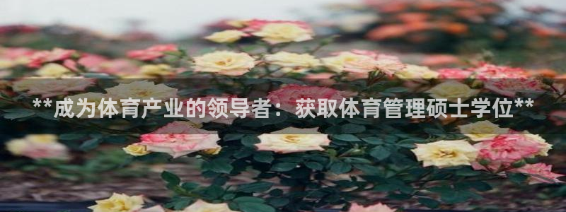 必一体育合法吗：**