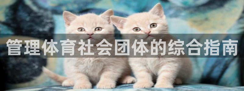 必一体育官网ios下
