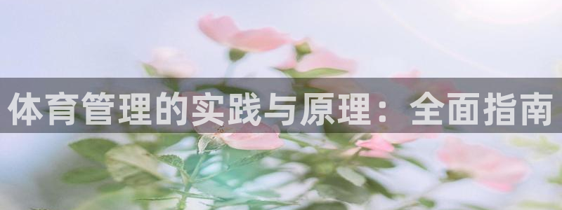 必一体育全站在线登录入口