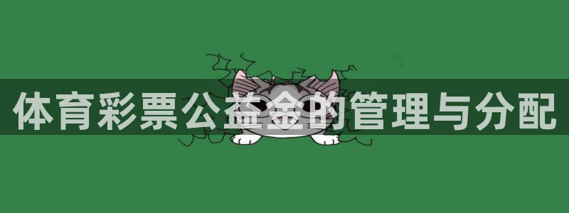 必一体育网页：体育彩