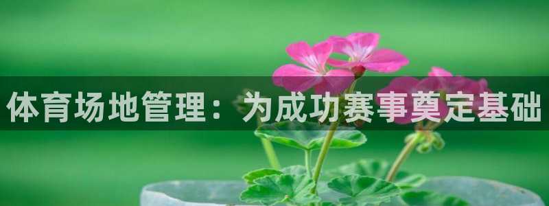 必一体育是哪里的台子