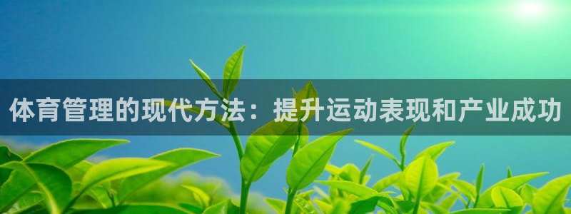 必一体育网页版登录