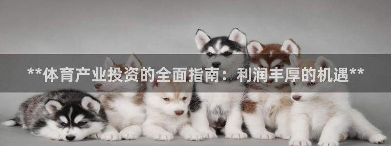 必一体育app下载安