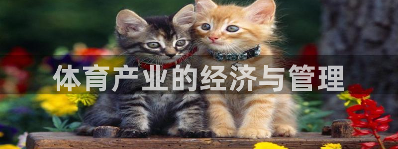 必一体育下载app