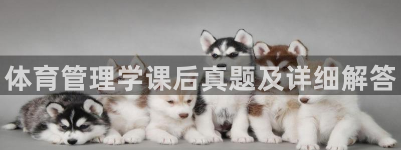 必一体育运动官网