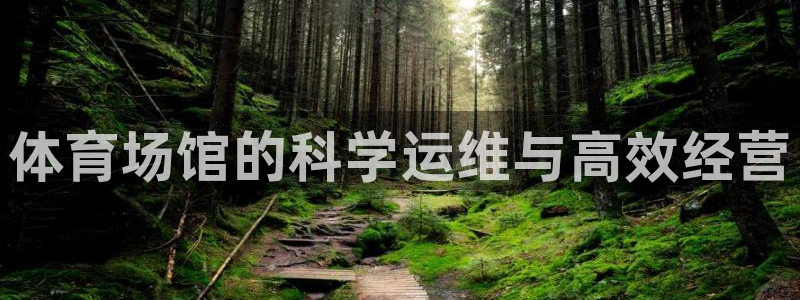 必一体育官网入口