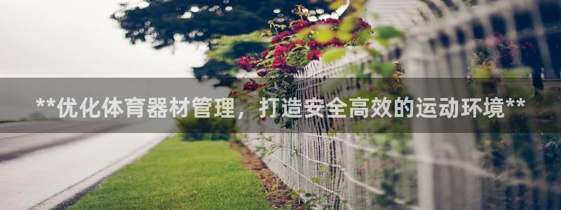 必一体育电子app：