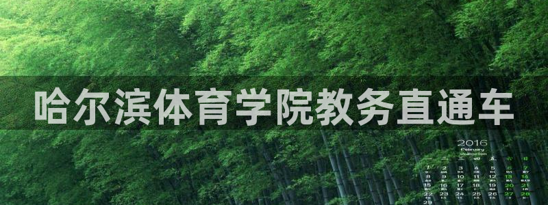必一运动：哈尔滨体育
