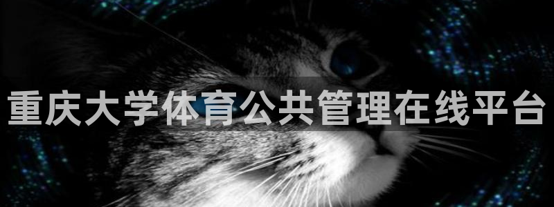 必一运动体育官网下载