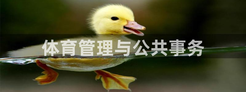 必一运动验证码