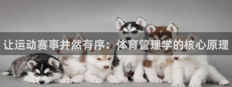 必一体育下载登入