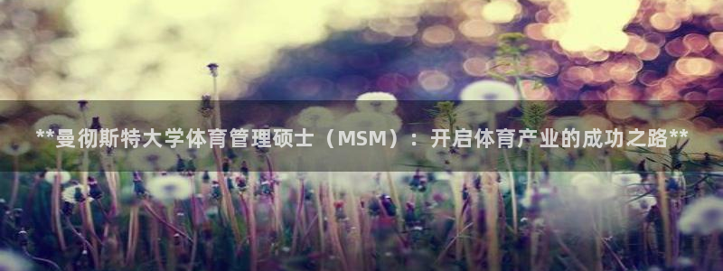 必一运动·体育：**