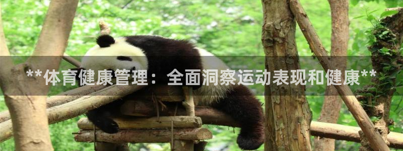 必一体育是哪里的台子