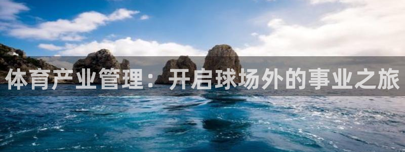 必一体育电子app