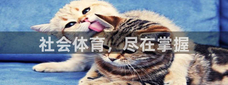 必一体育app平台下载