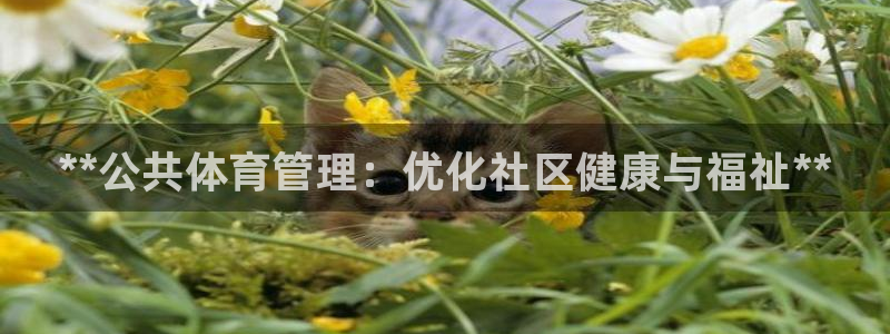 必一运动·体育：**