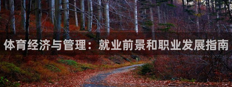 必一体育app官方