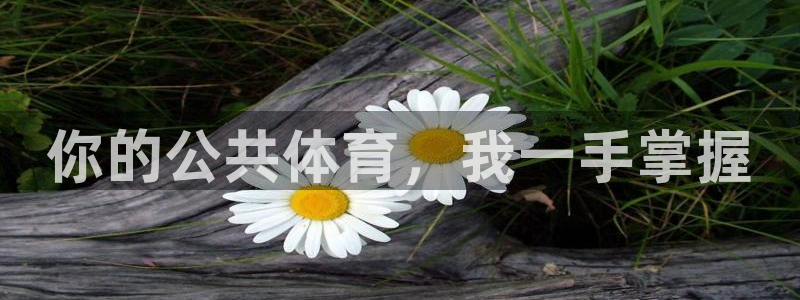 必一运动官网入口