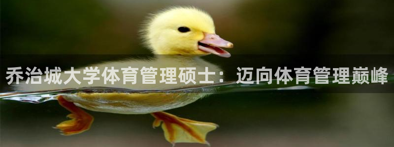 必一体育在线入口