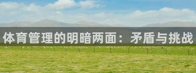 必一体育登陆：体育管