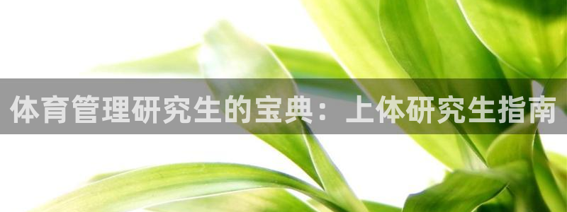 必一运动 b 体育素