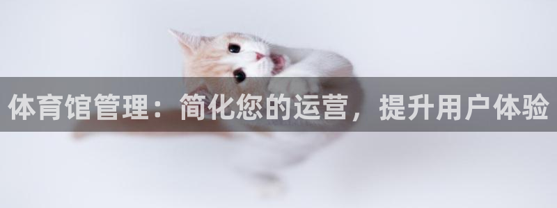 必一体育sport官方网站
