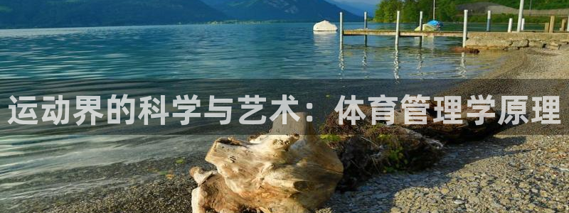 必一体育登录入口