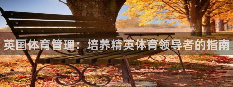 必一体育下载