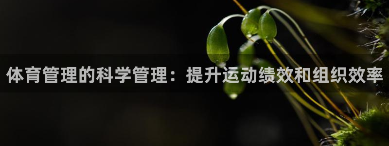 必一体育官网网址：体
