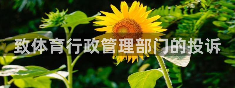 必一体育是啥