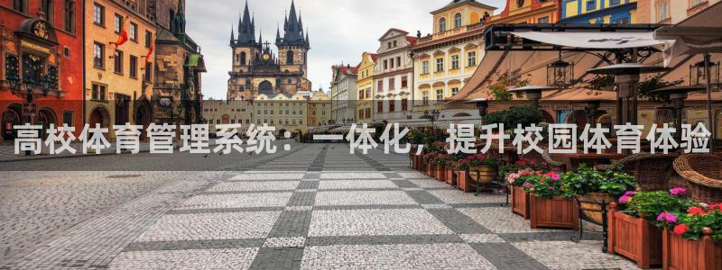 必一体育在线登陆