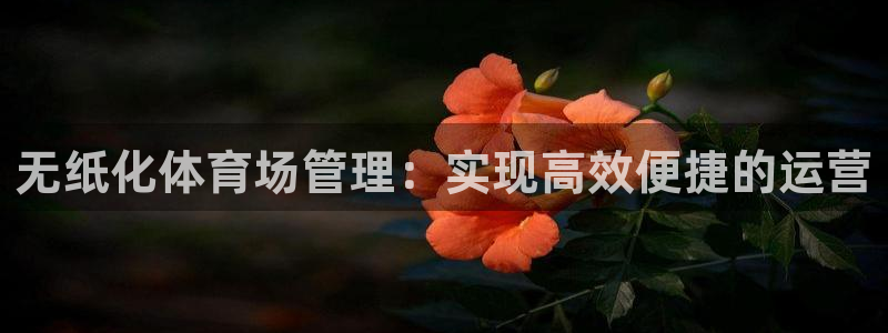必一体育流水线是什么