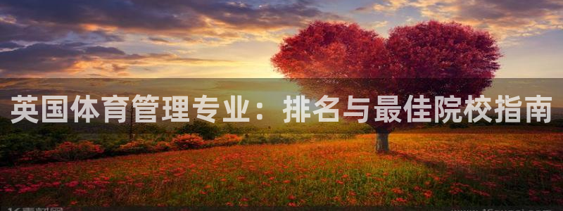 必一运动aop：英国