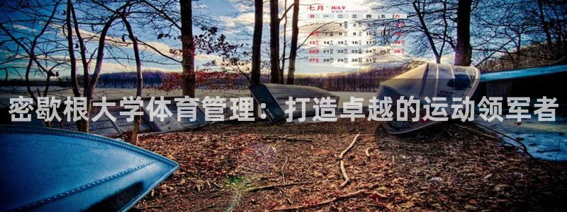 必一体育秀给网：密歇