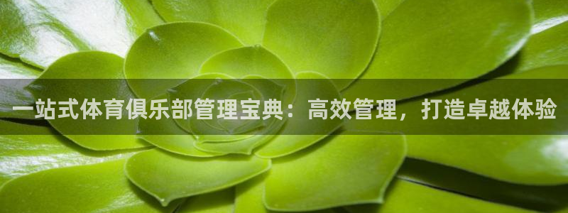 必一体育app下载安