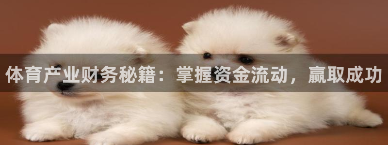 必一体育app下载安