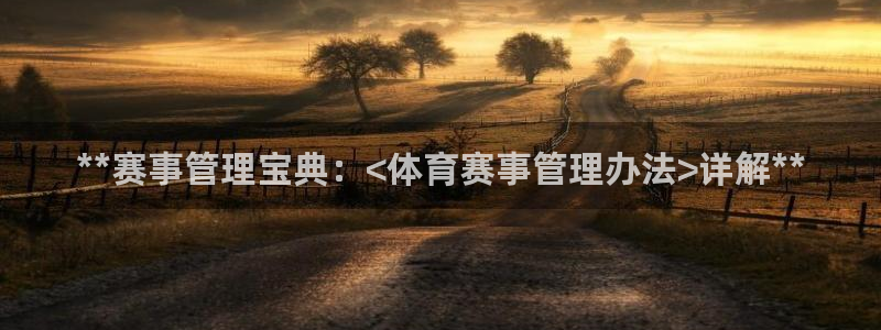 必一体育手机下载