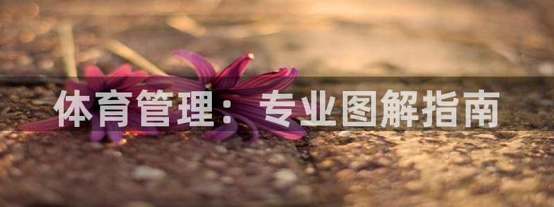 必一体育运动下载：体