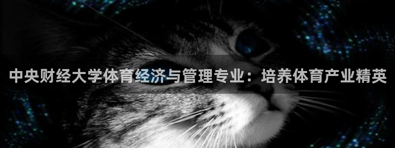 必一体育网址：中央财