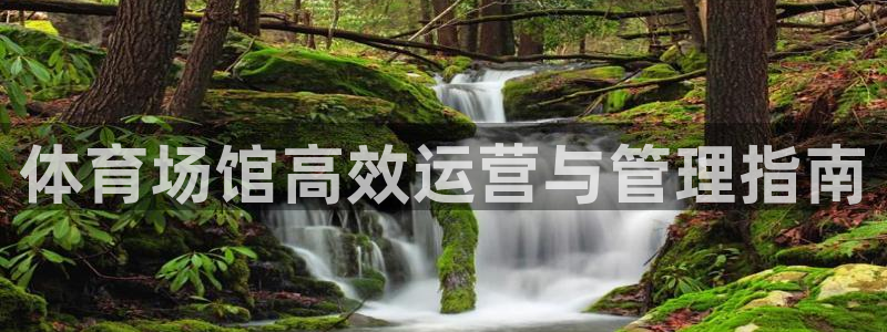 必一体育官网入口