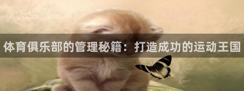必一体育手机下载：体