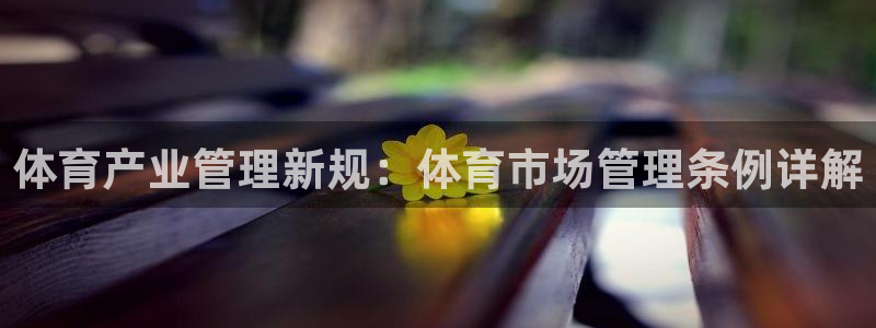 必一体育下载app：